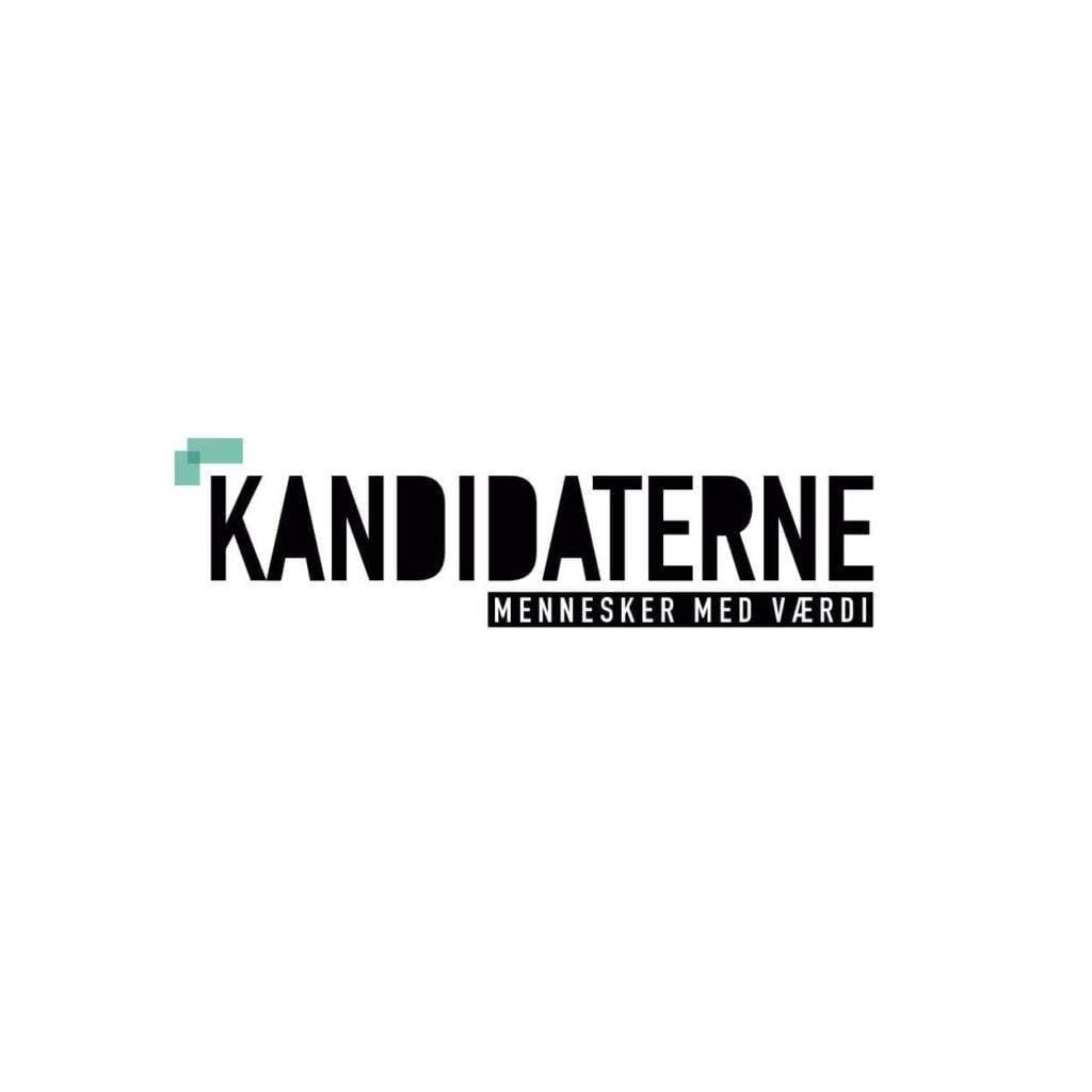 kandidaterene logo din el-ekspert